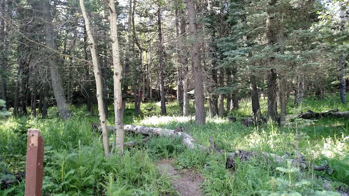 Southside Campground Picture 2