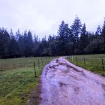 UCSC Trailer Park
