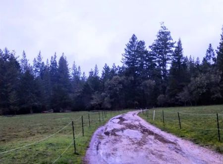 UCSC Trailer Park
