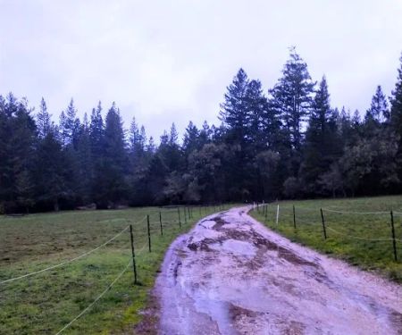 UCSC Trailer Park