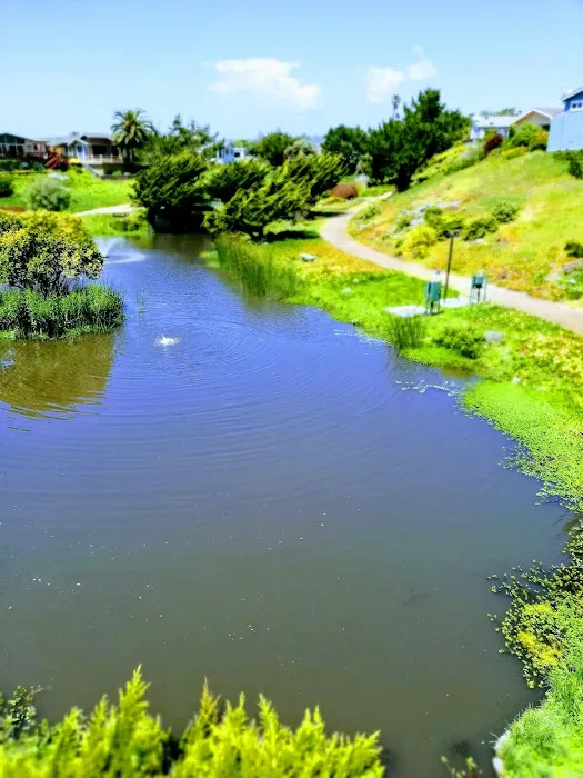 De Anza Santa Cruz Picture 8