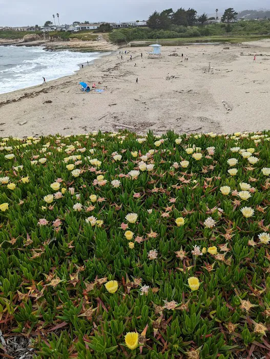 De Anza Santa Cruz Picture 4
