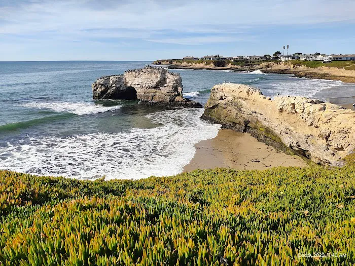 De Anza Santa Cruz Picture 2