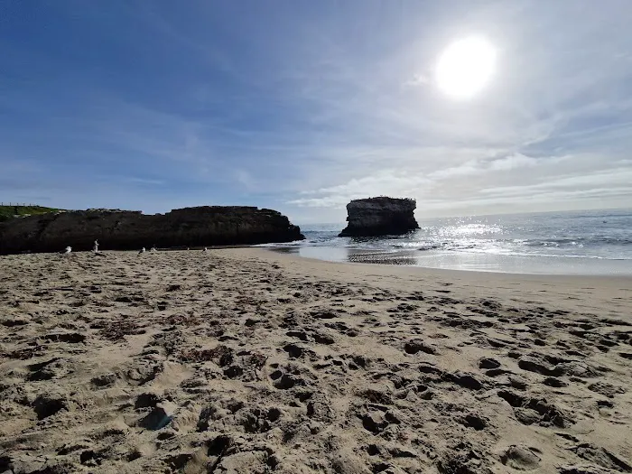 De Anza Santa Cruz Picture 6