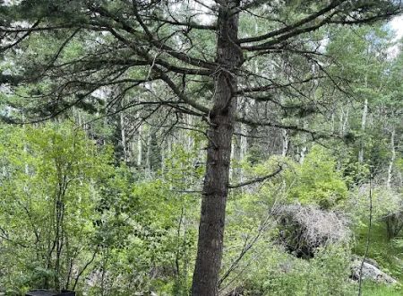 St. Charles Campground