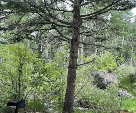 St. Charles Campground