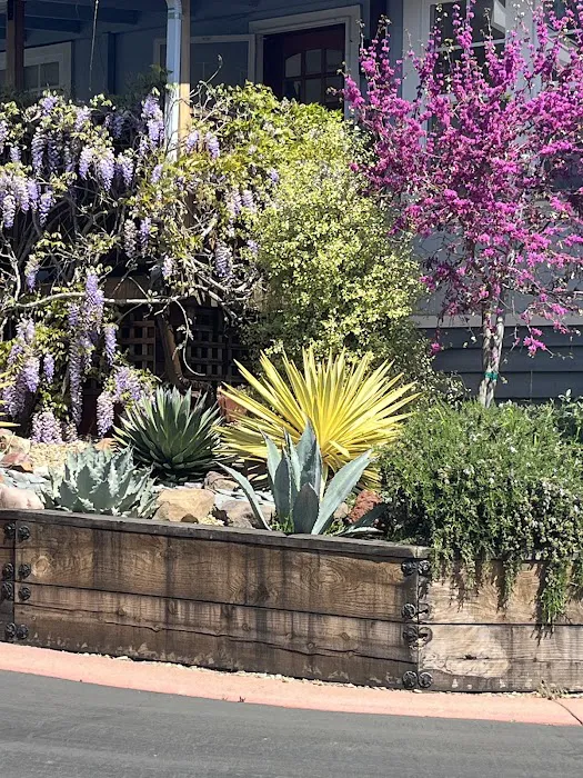 Montevalle of Scotts Valley Picture 2