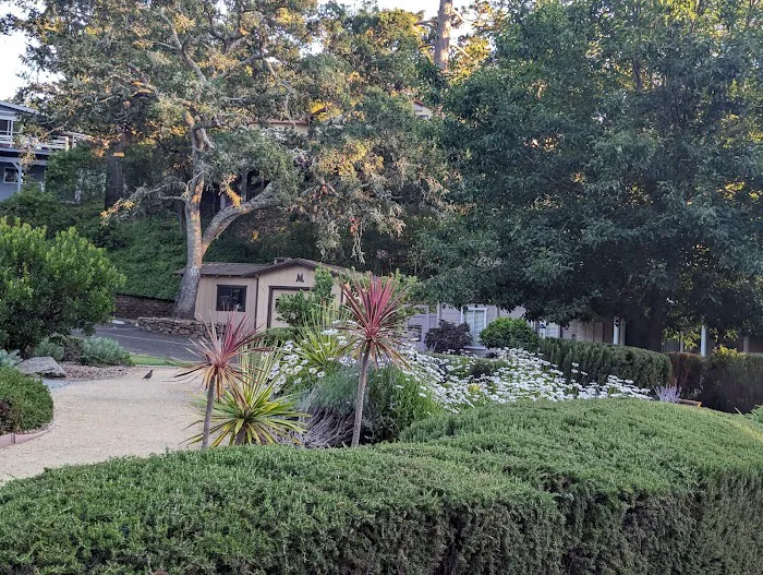 Montevalle of Scotts Valley Picture 10