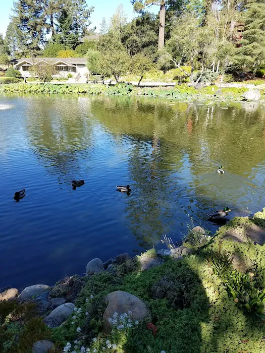 Montevalle of Scotts Valley Picture 9