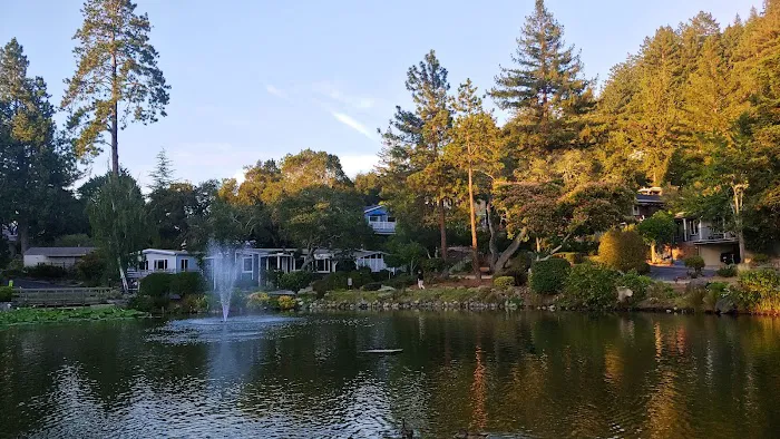 Montevalle of Scotts Valley Picture 5