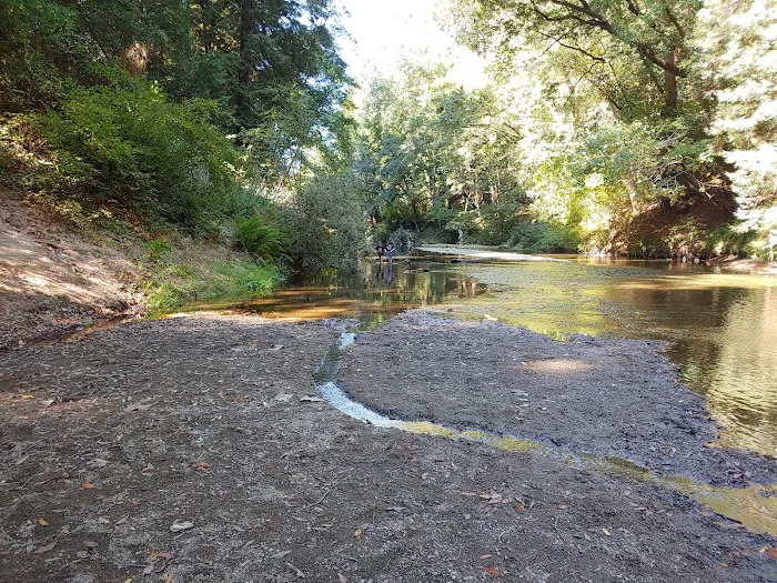 Cotillion Gardens RV Park Picture 9