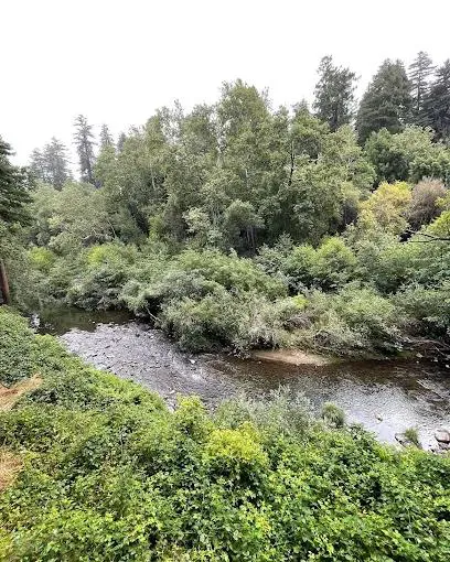 Santa Cruz Redwoods RV Resort Picture 6