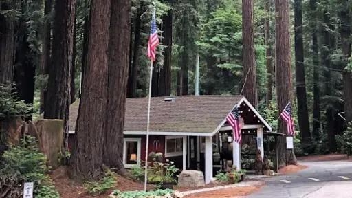 Santa Cruz Redwoods RV Resort Picture 4