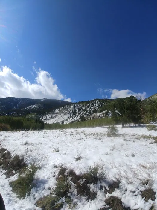 Cottonwood Lake Campground Picture 10