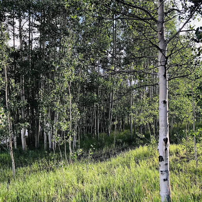 Cottonwood Lake Campground Picture 6