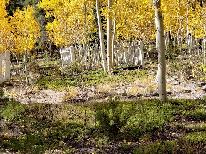 Iron City Campground Picture 2