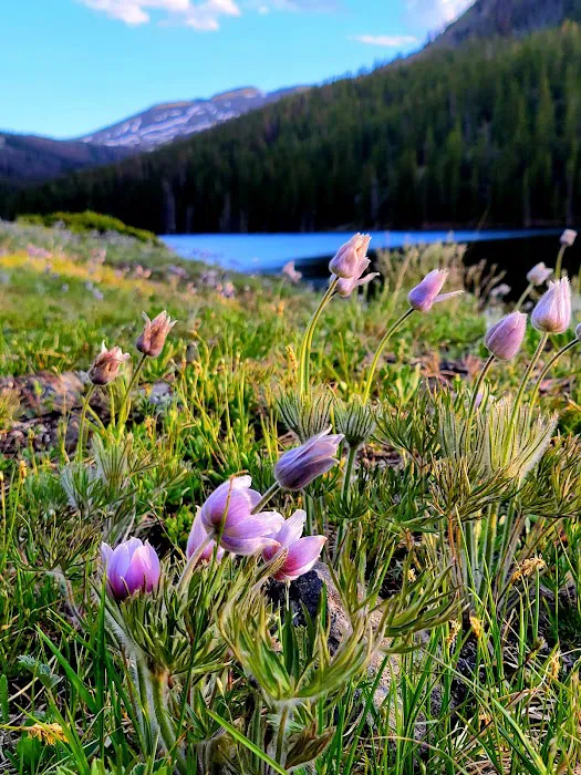 Mirror Lake Campground - Gunnison RD Picture 7
