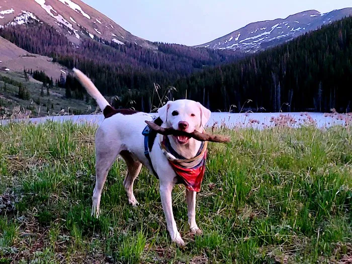 Mirror Lake Campground - Gunnison RD Picture 5