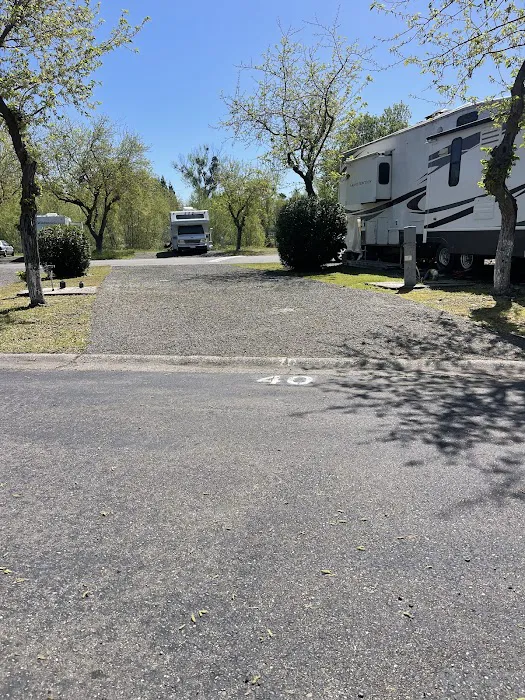 Red Bluff RV & MH Village Picture 5