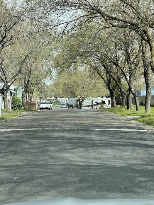 Red Bluff RV & MH Village Picture 6