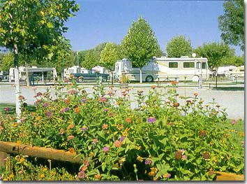 Red Bluff RV Park Picture 3
