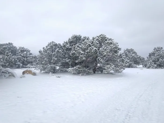 Shavano Campground Picture 2