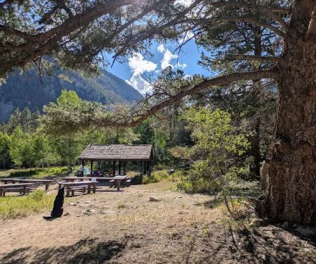 Angel of Shavano Campground