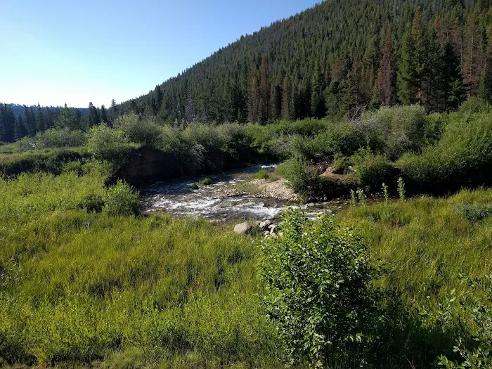 Angel of Shavano Campground Picture 7