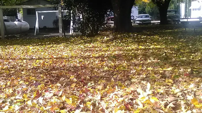 Bend Mobile Home & RV Park Picture 4