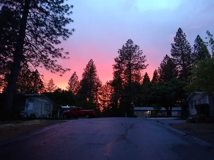 Skyview Terrace Mobile Home Picture 2