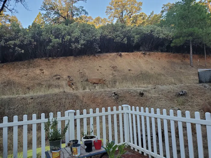 Skyview Terrace Mobile Home Picture 9