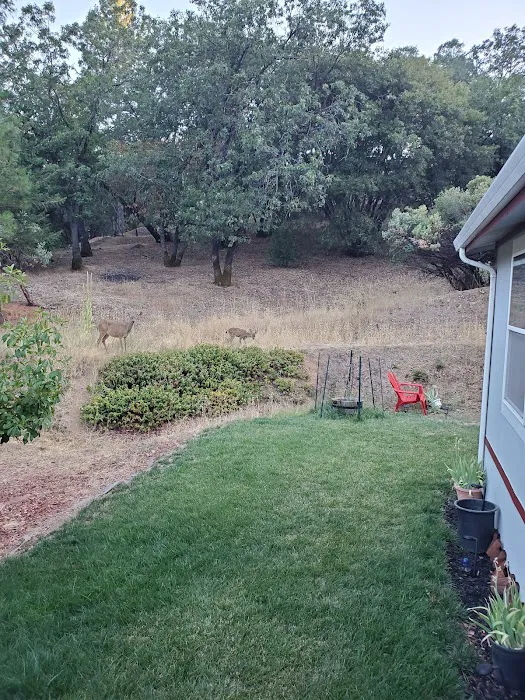 Skyview Terrace Mobile Home Picture 8