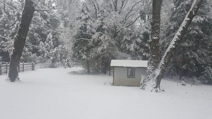 Hillcrest Mobile Home Park Picture 3