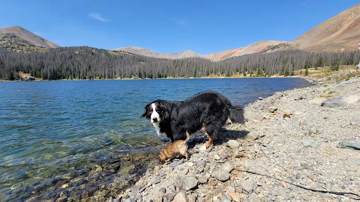 North Fork Campground Picture 4