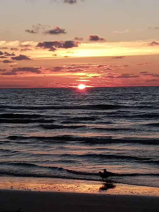 Surfside Beach RV Park Picture 6