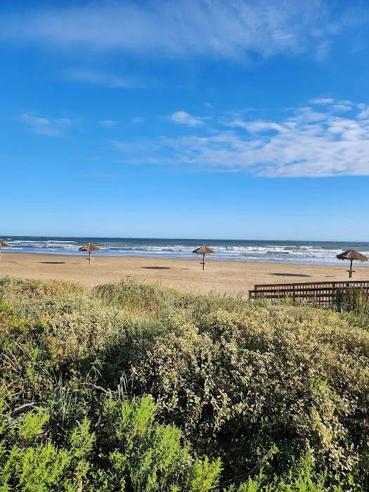 Quintana Beach County Park Picture 8