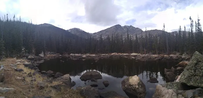 Upper Chipmunk Picture 1
