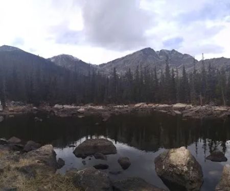 Upper Chipmunk