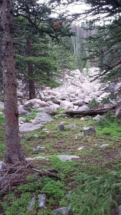 Upper Chipmunk Picture 3