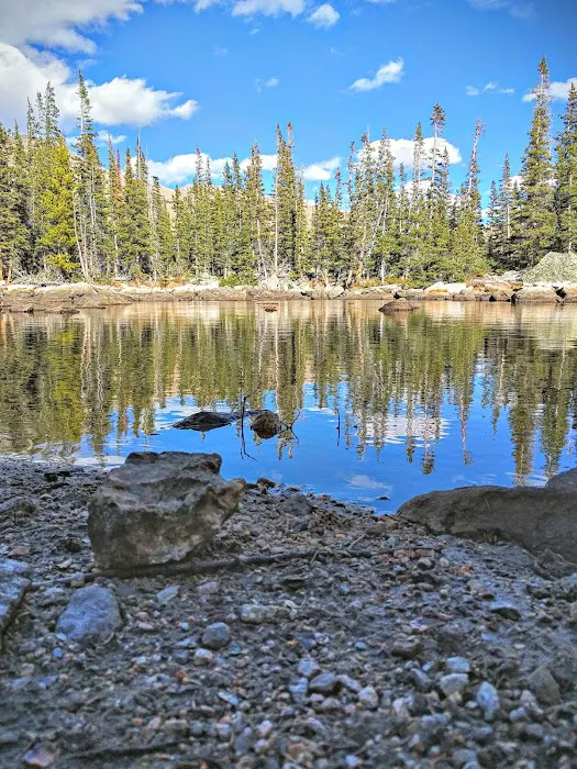 Upper Chipmunk Picture 4
