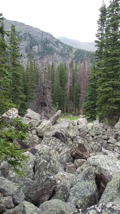 Upper Chipmunk Picture 2