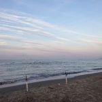 Sunset RV Park