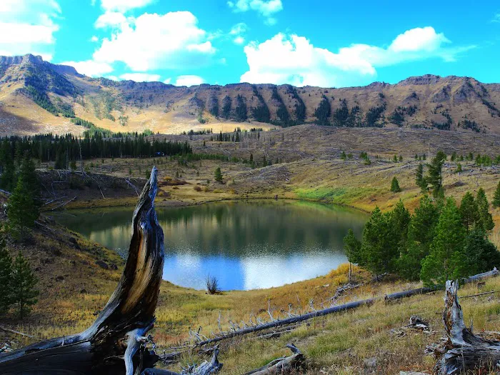 Trappers Lake / Horse Thief Campground Picture 3