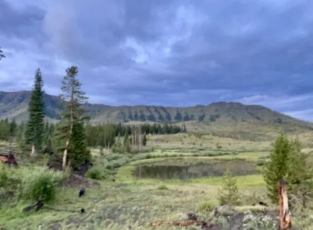 Trappers Lake / Horse Thief Campground