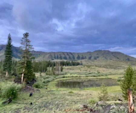 Trappers Lake / Horse Thief Campground