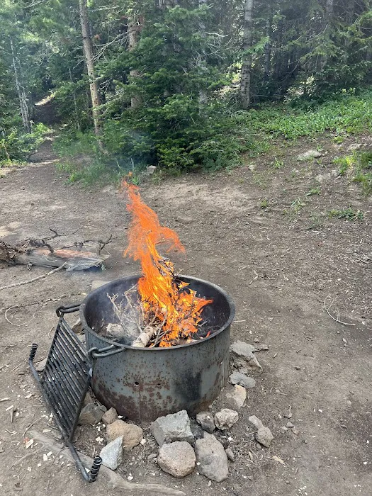 Bucks Campground Picture 7