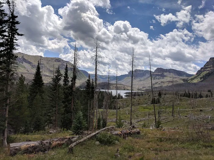 Trapline Campground Picture 8