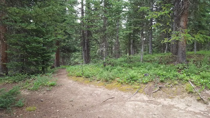 Trapline Campground Picture 5