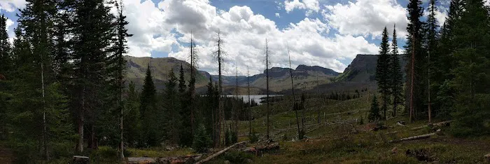 Trapline Campground Picture 6