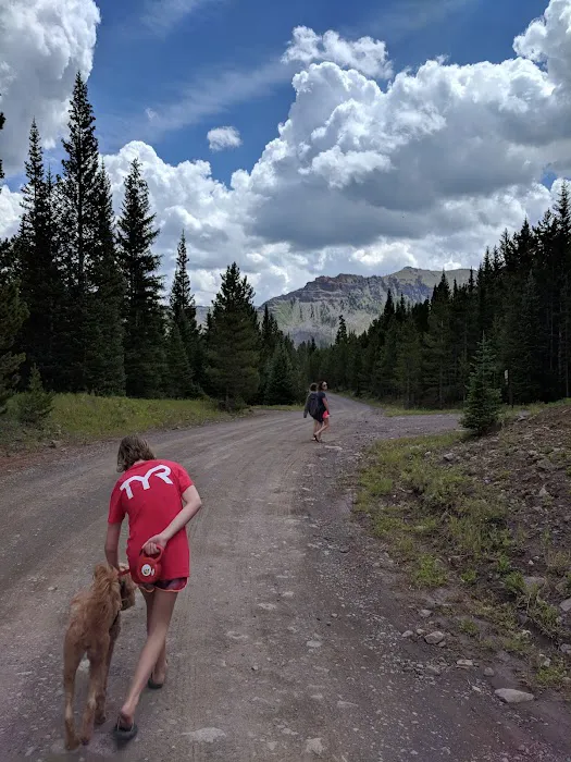 Trapline Campground Picture 7